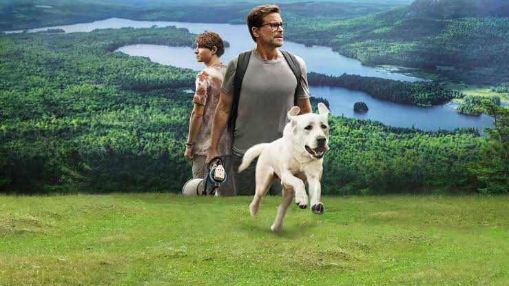 Dog Gone (dok. Netflix/Dog Gone)