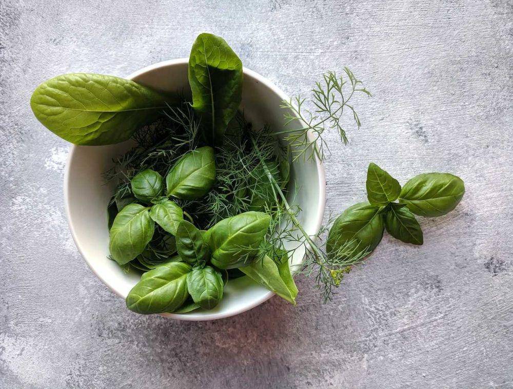 ilustrasi basil (pexels.com/asya-vlasova)