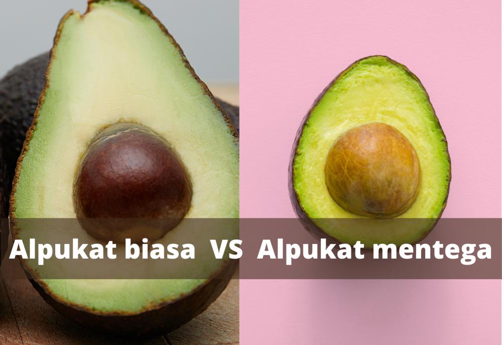 5 Perbedaan Alpukat Mentega dan Alpukat Biasa