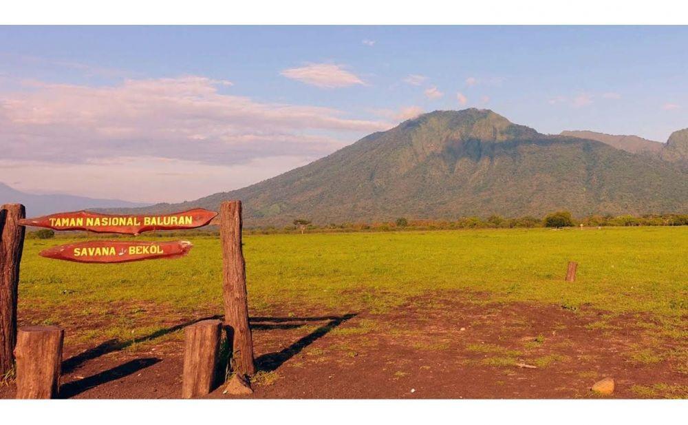 5 Kisah Mistis Alas Baluran, Konon Dihuni oleh Siluman Kera
