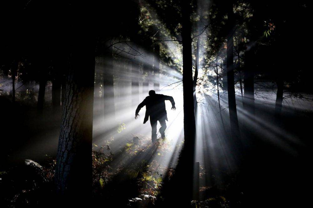 ilustrasi berlari di hutan (pexels.com/Etienne Marais)
