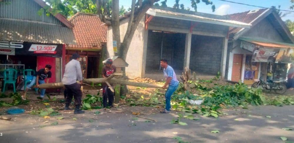 Anggota Polsek Woja bersama warga sesaan bersihkan pohon tumbang (Dok/Polsek Woja)