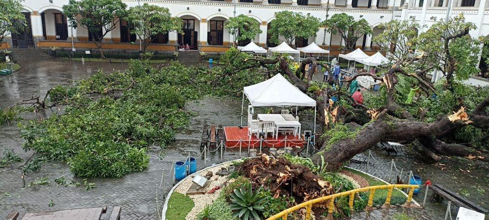Sudah Ada Sejak 1916, Pohon Talijiwo di Lawang Sewu Tumbang, 2 Pegawai Terluka