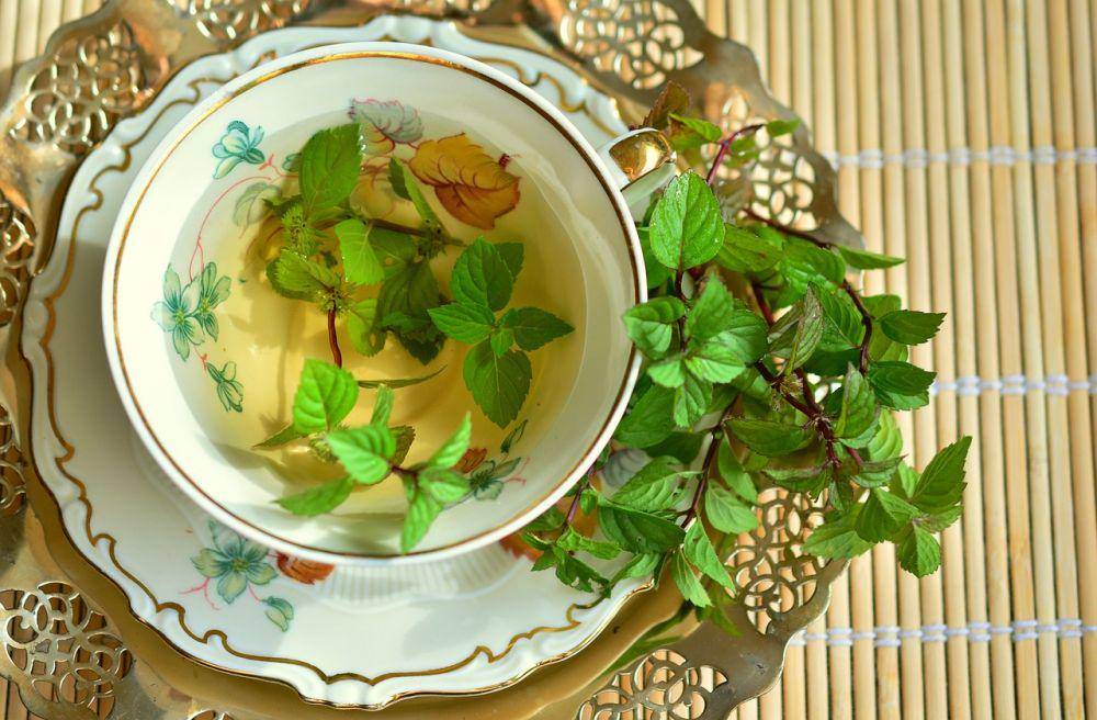 ilustrasi peppermint tea (pixabay.com/congerdesign)