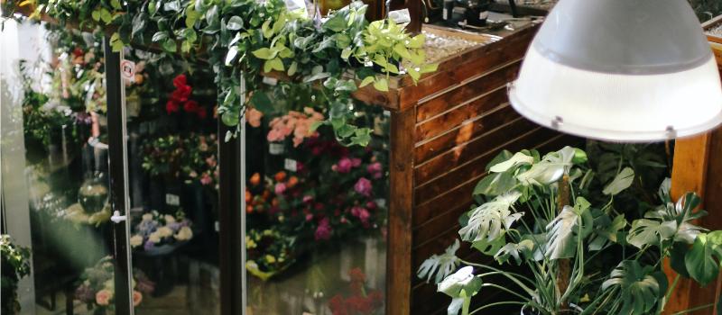 Tips Mempercantik Halaman Rumah, Dijamin Bikin Estetik