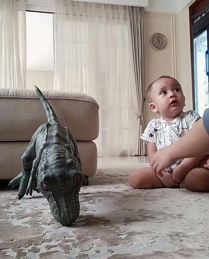 Rayyanza dan dino kesayangan (instagram.com/riniperdiyanti)