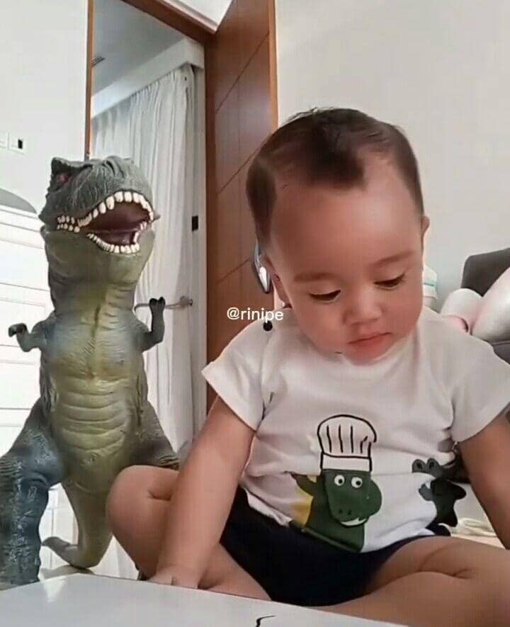 Rayyanza dan dino kesayangan (instagram.com/riniperdiyanti)