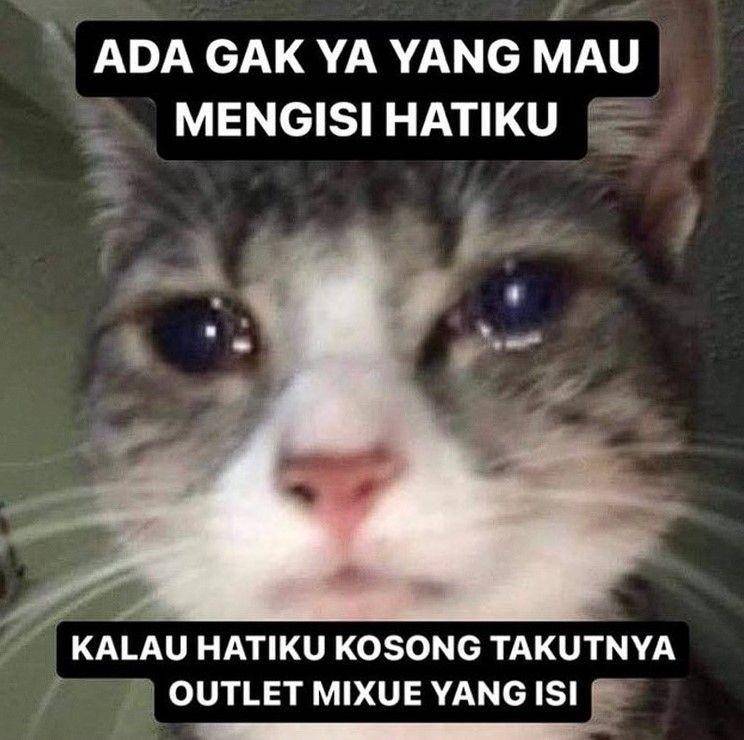 meme Mixue (twitter.com/fluxcup)