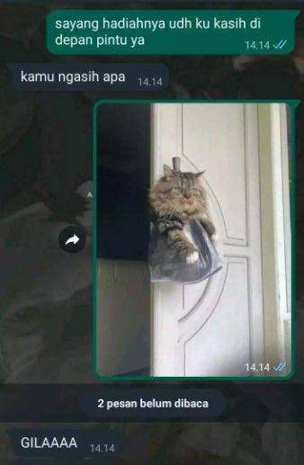 chat temen kirim gambar (facebook.com/2k69)