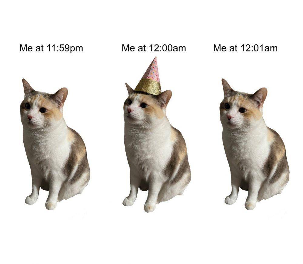 meme malam tahun baru gak ngapa-ngapain (twitter.com/fatfatpankocat)