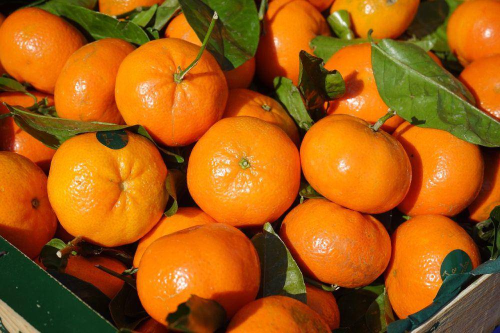 Tangerine (pixabay.com/hans)