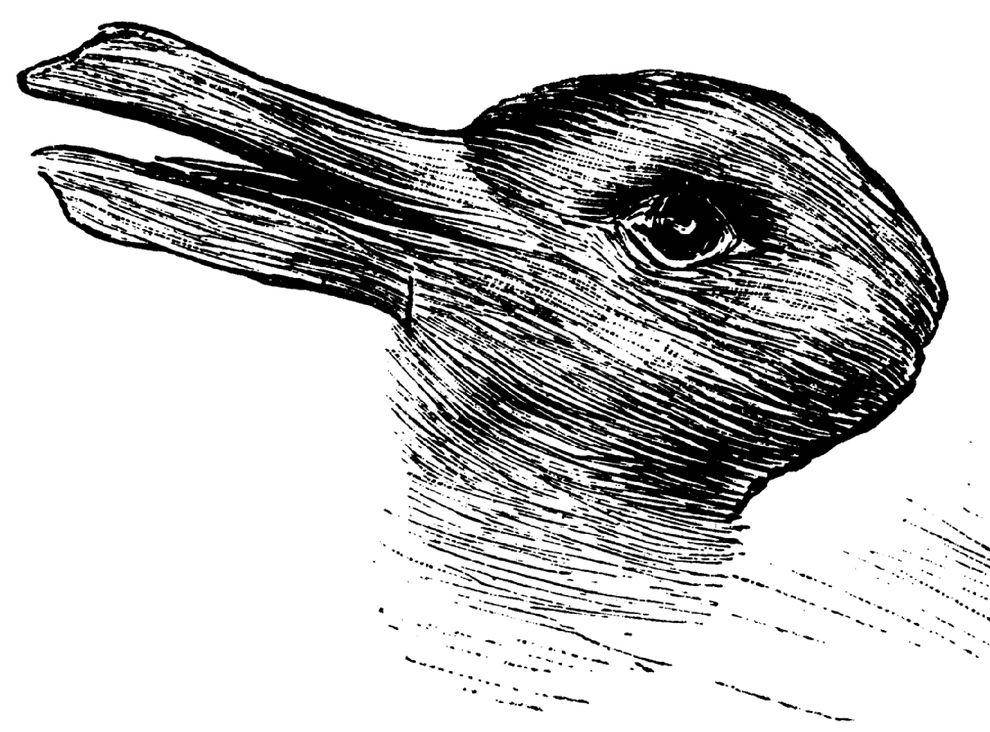Ilustrasi ilusi kelinci bebek (commons.wikimedia.org)