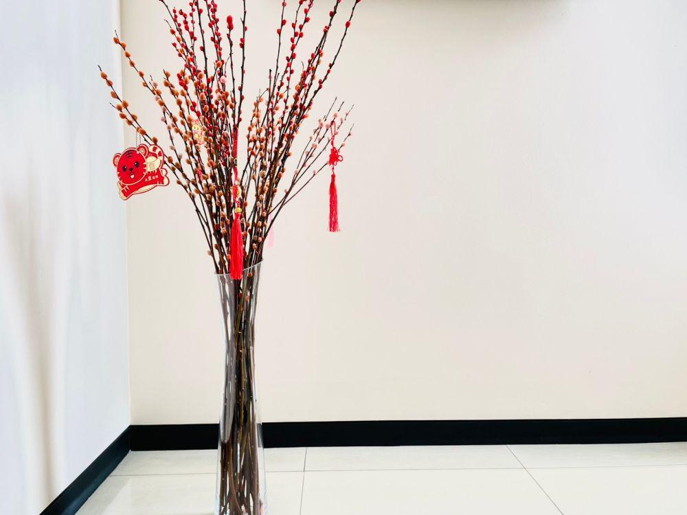 5 Fakta Menarik Pussy Willow, Bunga yang Populer saat Imlek