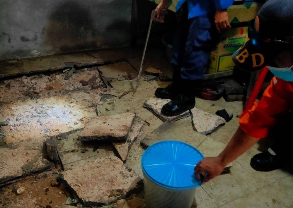 Petugas Damkar Kabupaten Tuban saat mengevakuasi belasan ular kobra. Dok Istimewa