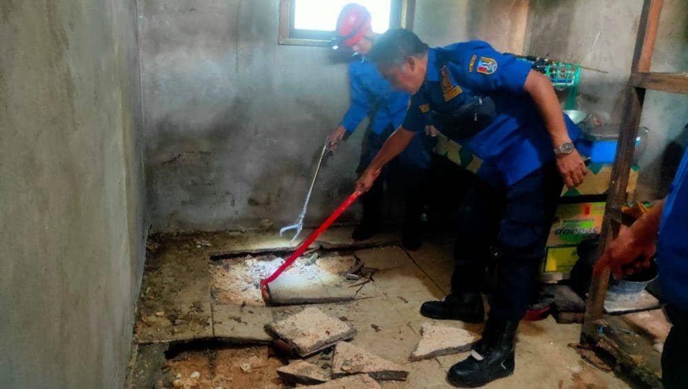 24 Butir Telur dan 18 Ekor Ular Kobra Ditemukan di Rumah Warga Tuban