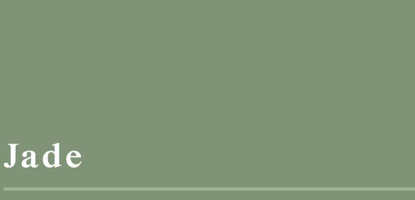 ilustrasi warna jade (thefashionfrill.com)