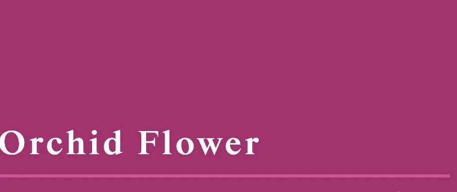 ilustrasi warna orchid flower (thefashionfrill.com)