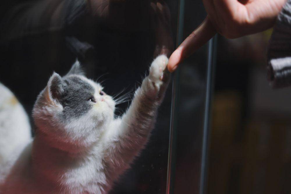 Unsplash/ Raychan