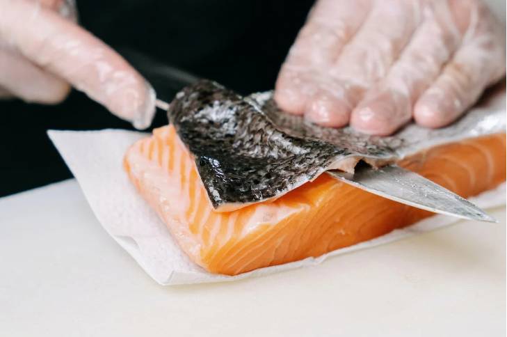 ilustrasi salmon (pexels.com/Ivansamkov)