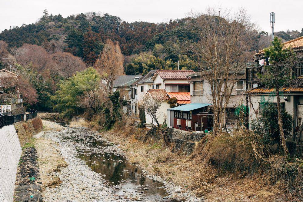 ilustrasi pemandangan pedesaan di Jepang (Unsplash.com/Markus Winkler)