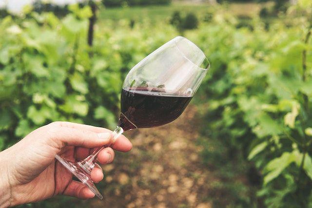 5 Perbedaan Pengolahan Wine Vegan dan Wine Biasa, Beda Rasa Gak ya?