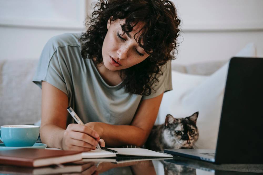ilustrasi seseorang sedang belajar dengan menggunakan laptop (pexels.com/Sam Lion)