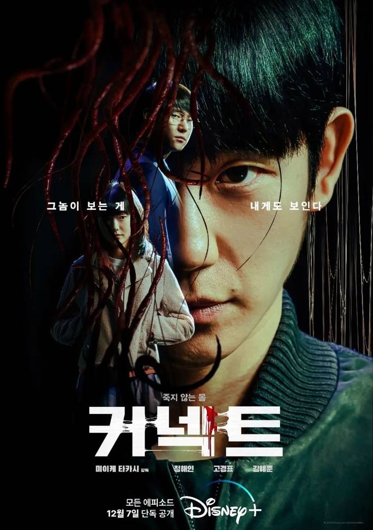 poster serial Connect (instagram.com/holyhaein)