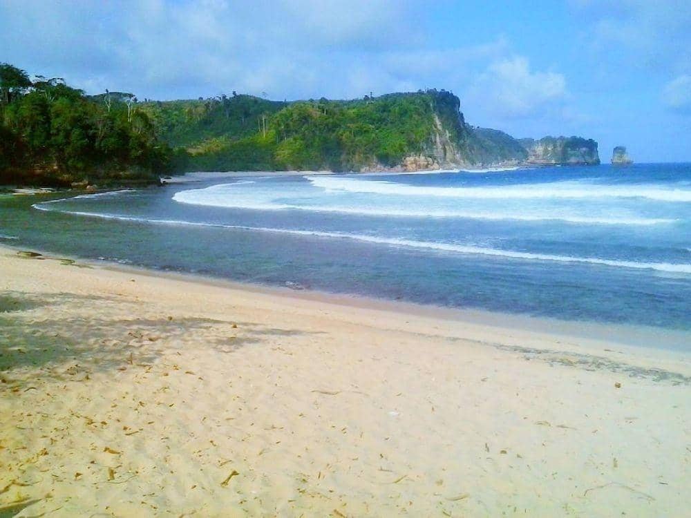 Sejumlah Pantai di Tulungagung Jadi Kawasan Ekosistem Esensial