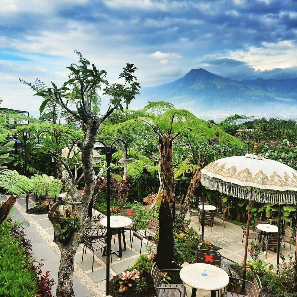 Cafe Monstera (instagram.com/cafe_monstera)