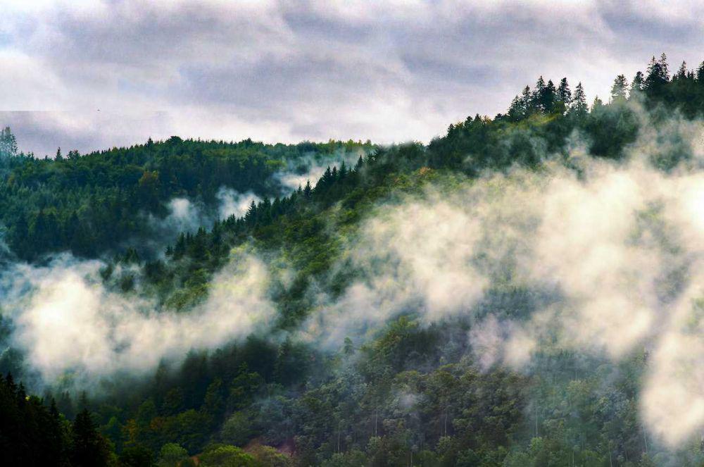 5 Gunung di Indonesia yang Wajib Dicoba Pendaki Pemula