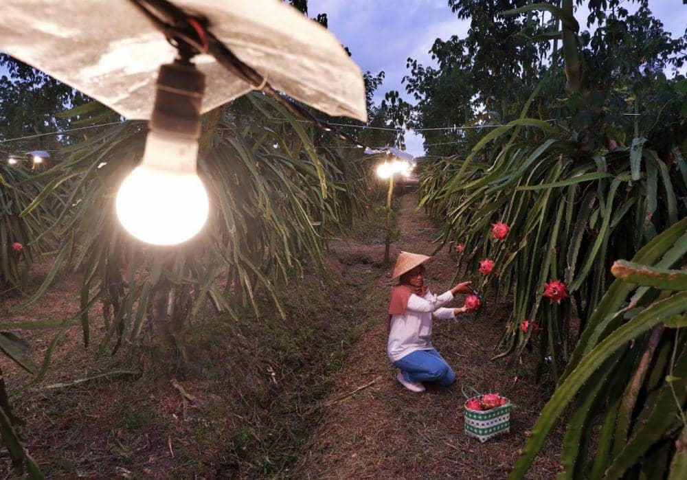 Tarif Listrik PLN Tetap pada Triwulan Pertama Tahun 2023
