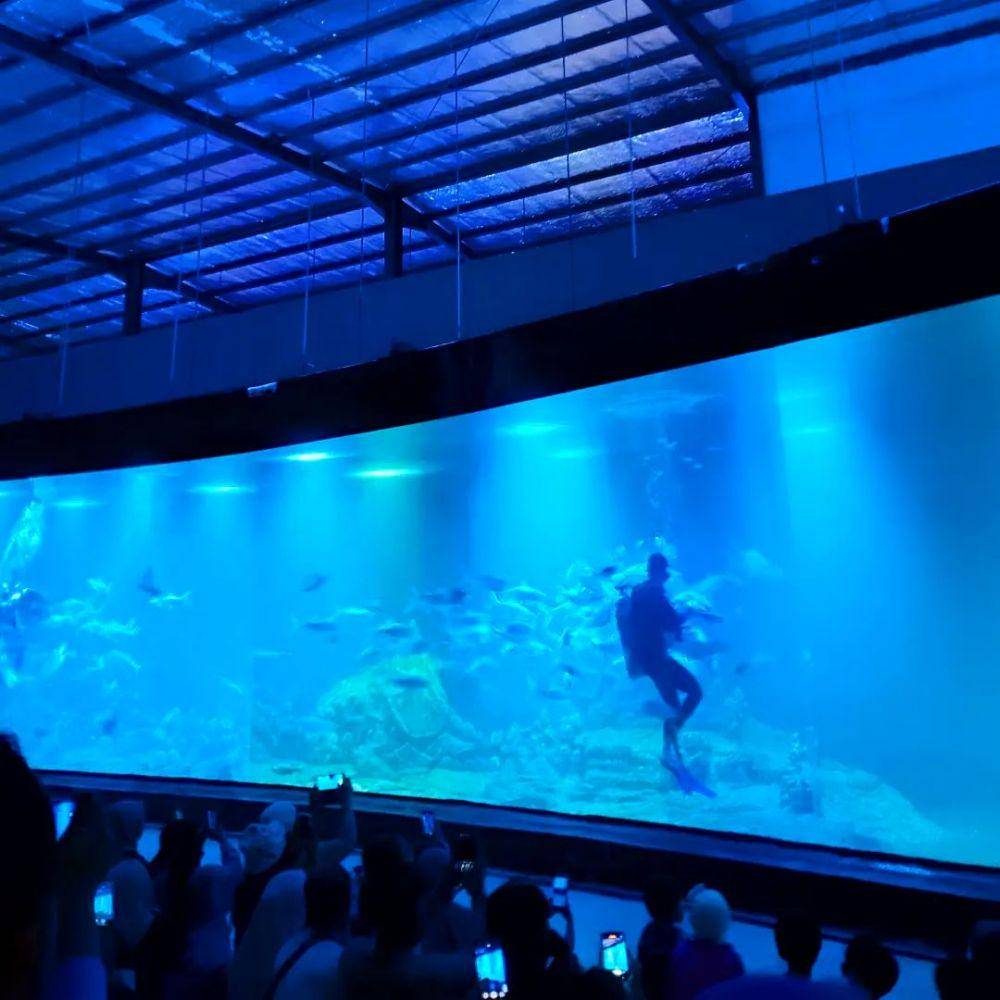 Feeding Show di Aquarium Indonesia Pangandaran (instagram.com/dharida.awallyah)