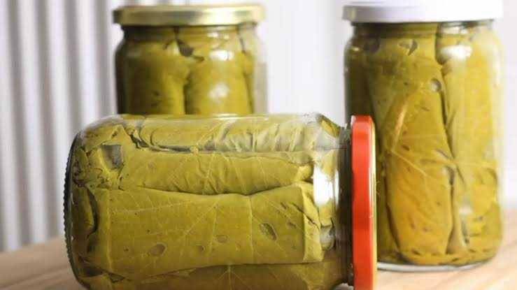 ilustrasi daun anggur fermentasi (youtube.com/Greek Cuisine)