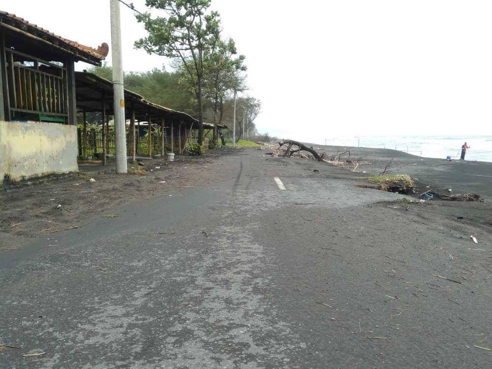 Abrasi di Pantai Pandansari Bantul (IDN Times/Daruwaskita)