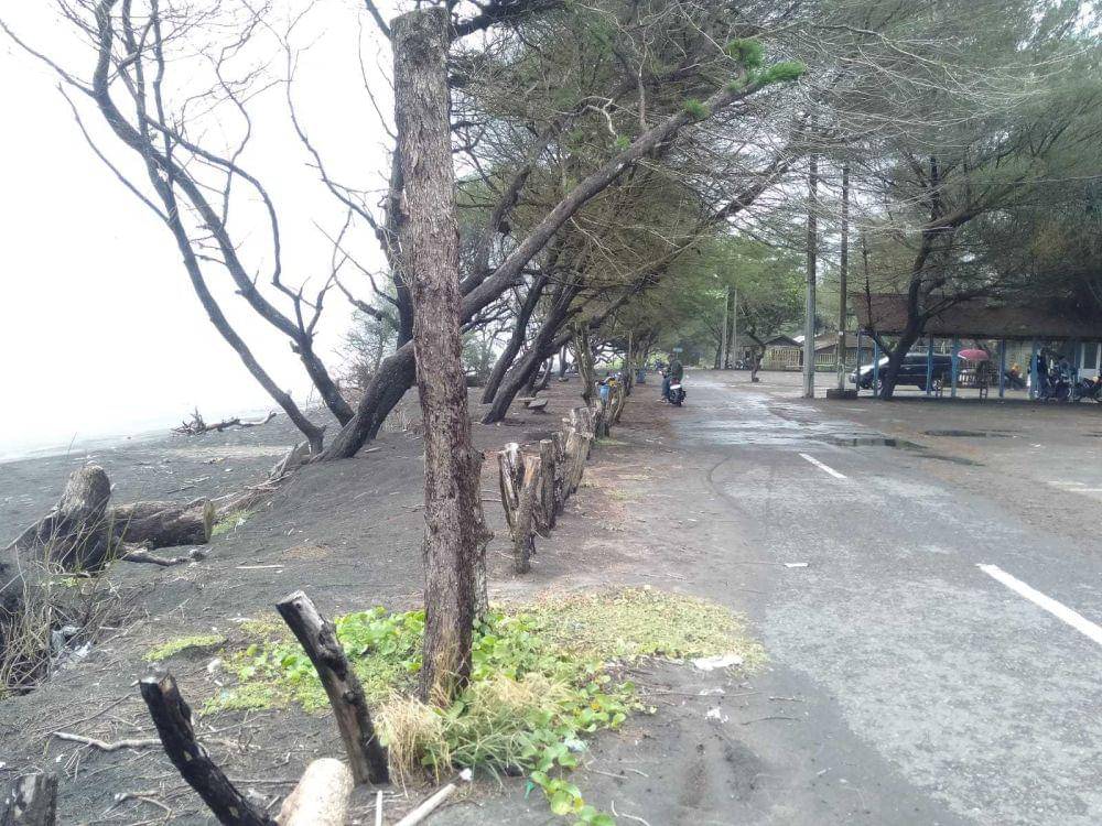 Abrasi di Pantai Pandasari Bantul.(IDN Times/Daruwaskita)