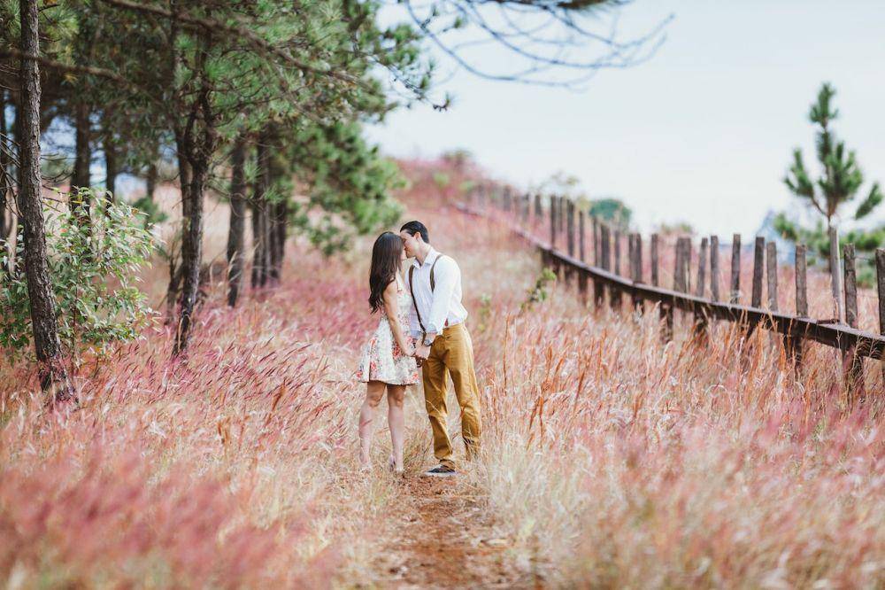ilustrasi foto di tengah kebun bunga (pexels.com/Pixabay)