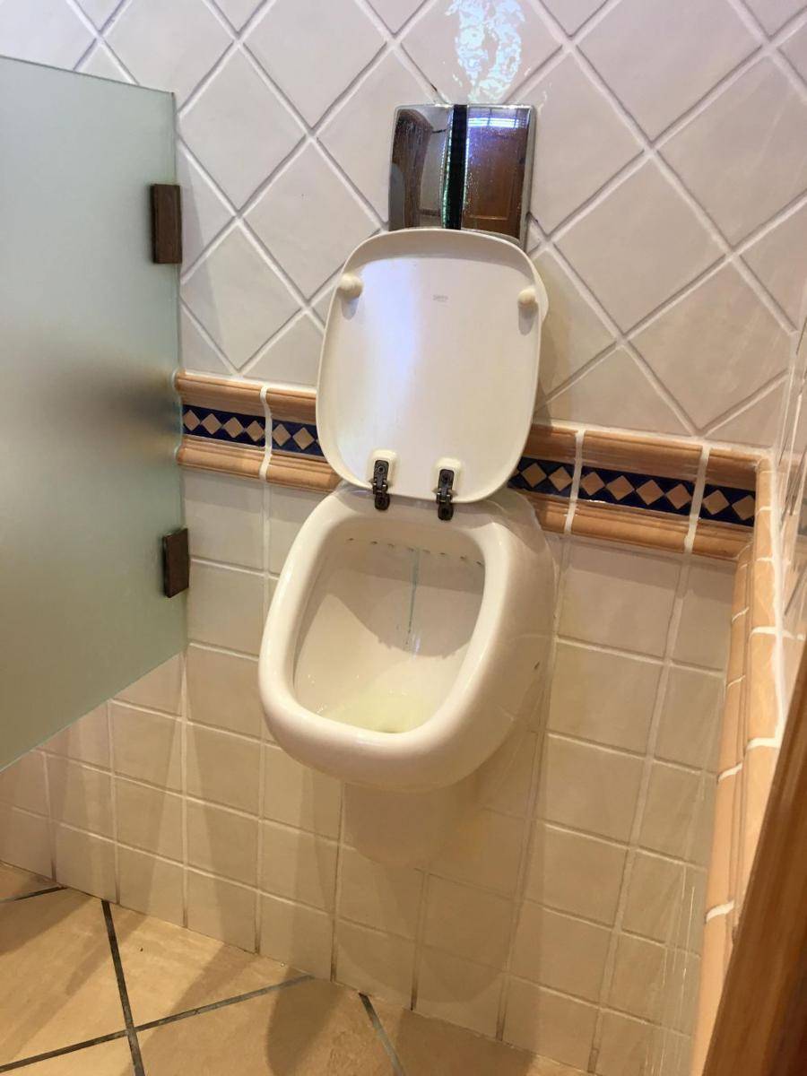 potret toilet nyeleneh (reddit.com/user/55kev)