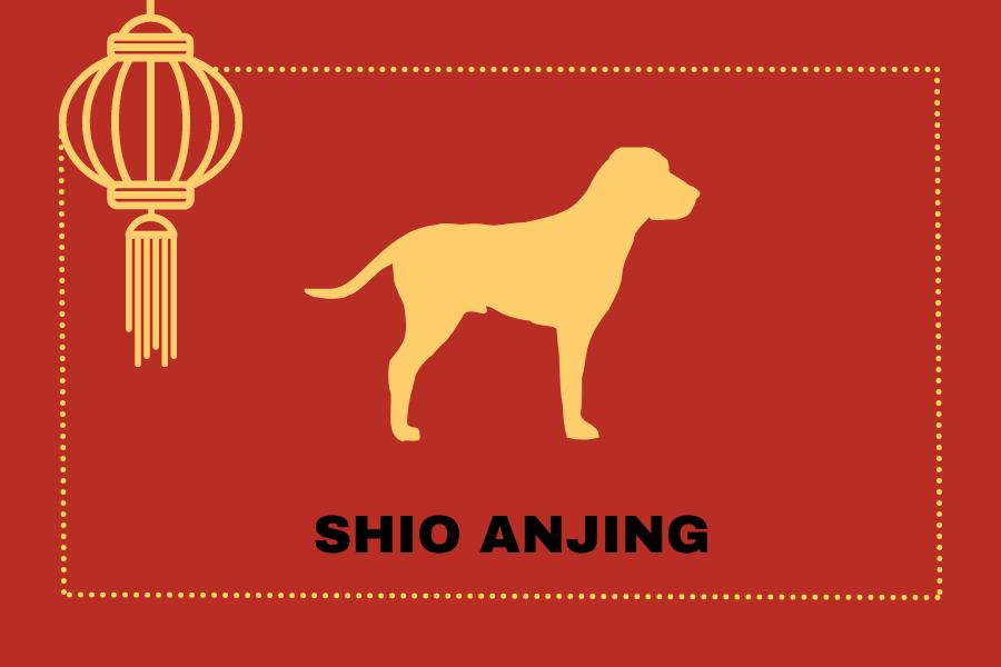 Ramalan Shio Anjing di Tahun 2024, Jadi Lebih Berani dan Tegas