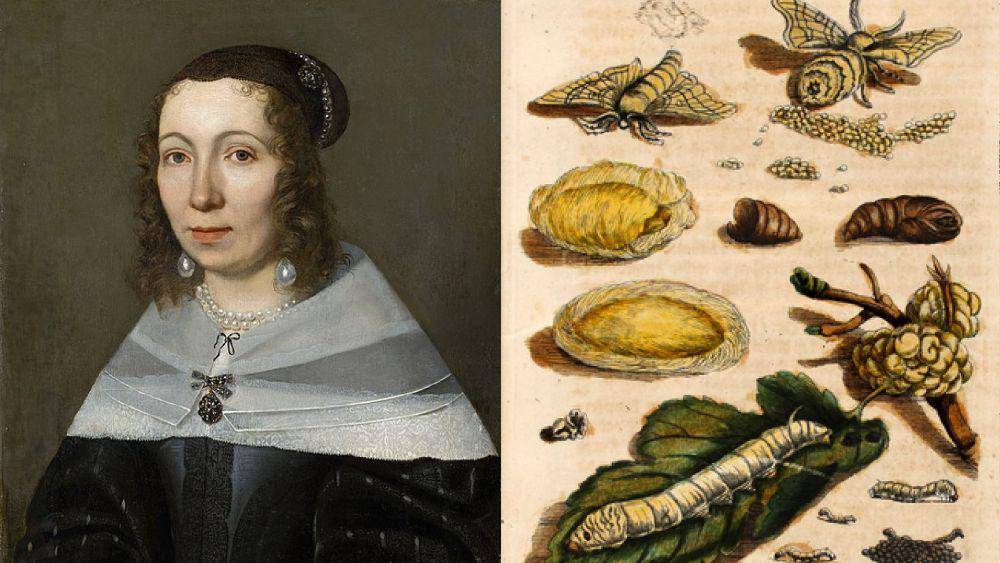 Ilmuwan dan penelitian Maria Sibylla Merian (Dok. Wikimedia Commons)
