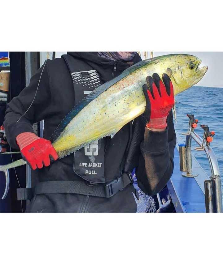 Dowoon DAY6 saat mancing (instagram.com/d.ddablue)