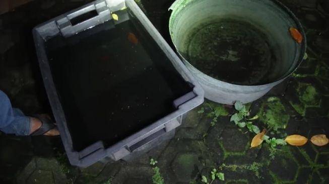 dok. YouTube/Bang Brew TV