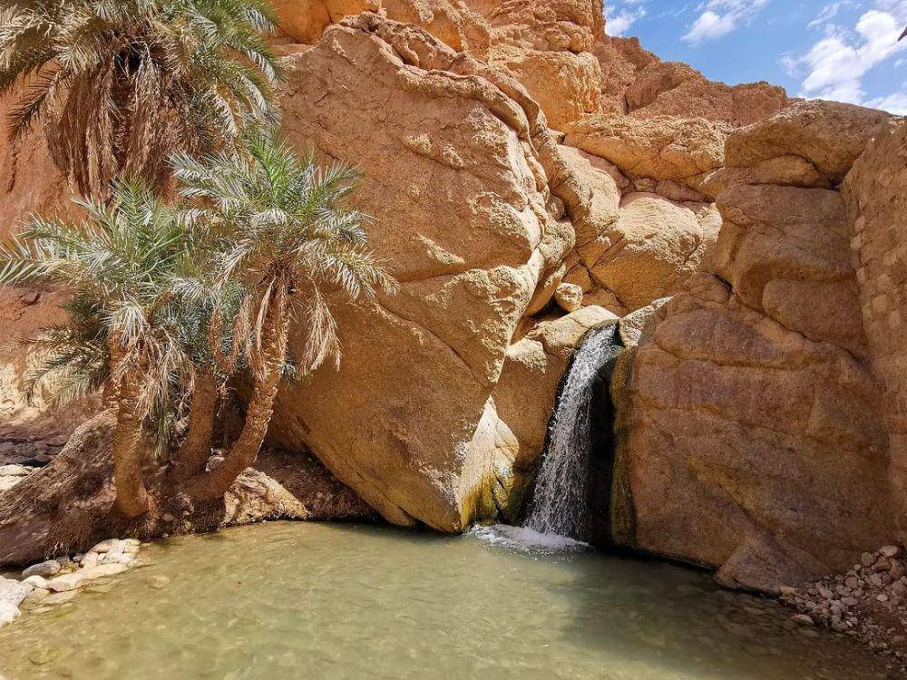 Chebika Oasis, Tunisia (instagram.com/ambri10_)