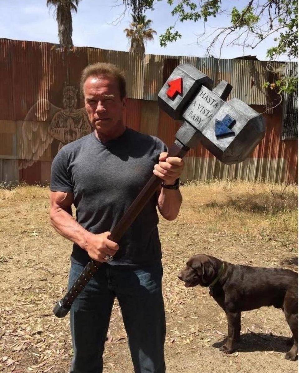 Arnold Schwarzenegger (instagram.com/Schwarzenegger)