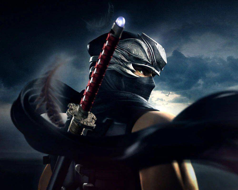 dok. Ninja Gainden Fandom
