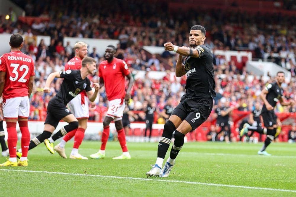 Dominic Solanke (twitter.com/DomSolanke)