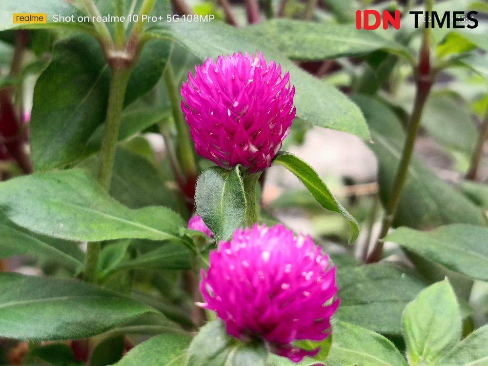hasil tangkapan realme 10 Pro+ 5G (IDN Times/Alfonsus Adi Putra)