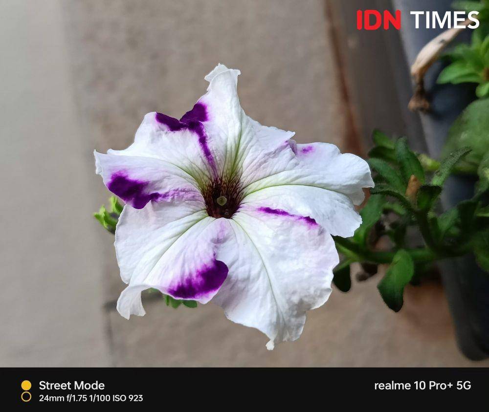 hasil tangkapan realme 10 Pro+ 5G (IDN Times/Alfonsus Adi Putra)