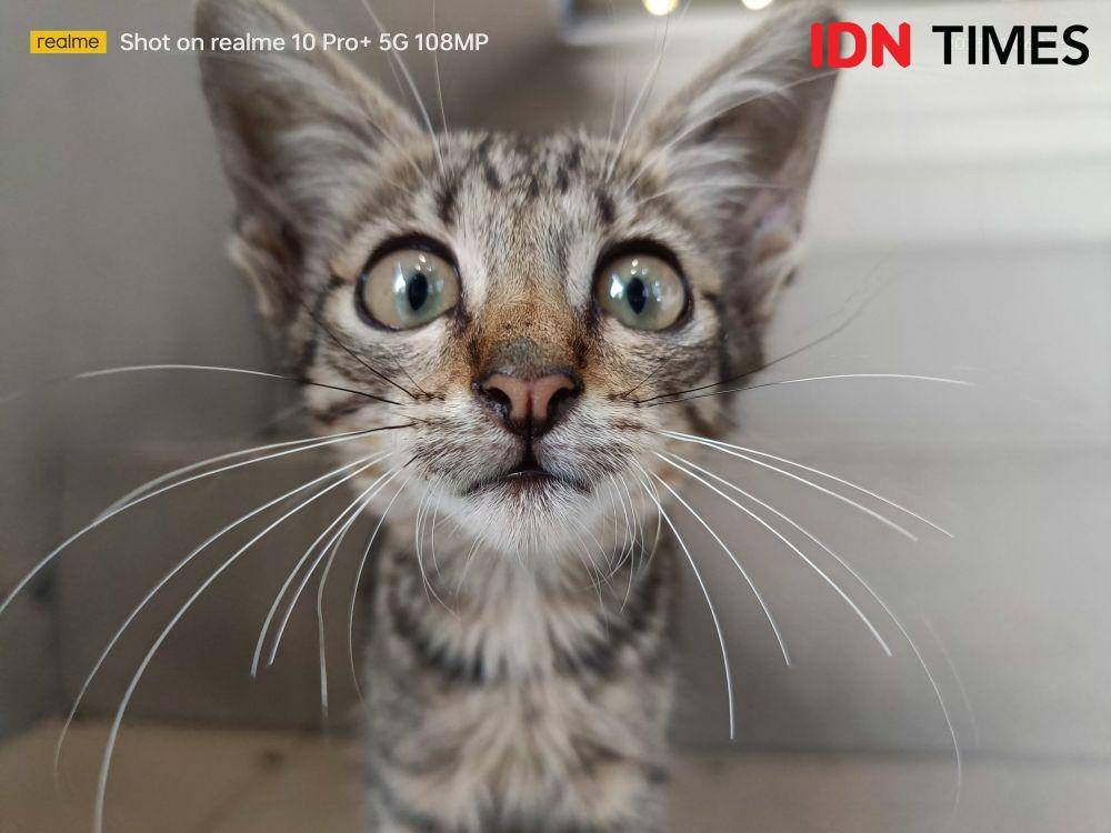 hasil tangkapan realme 10 Pro+ 5G (IDN Times/Alfonsus Adi Putra)