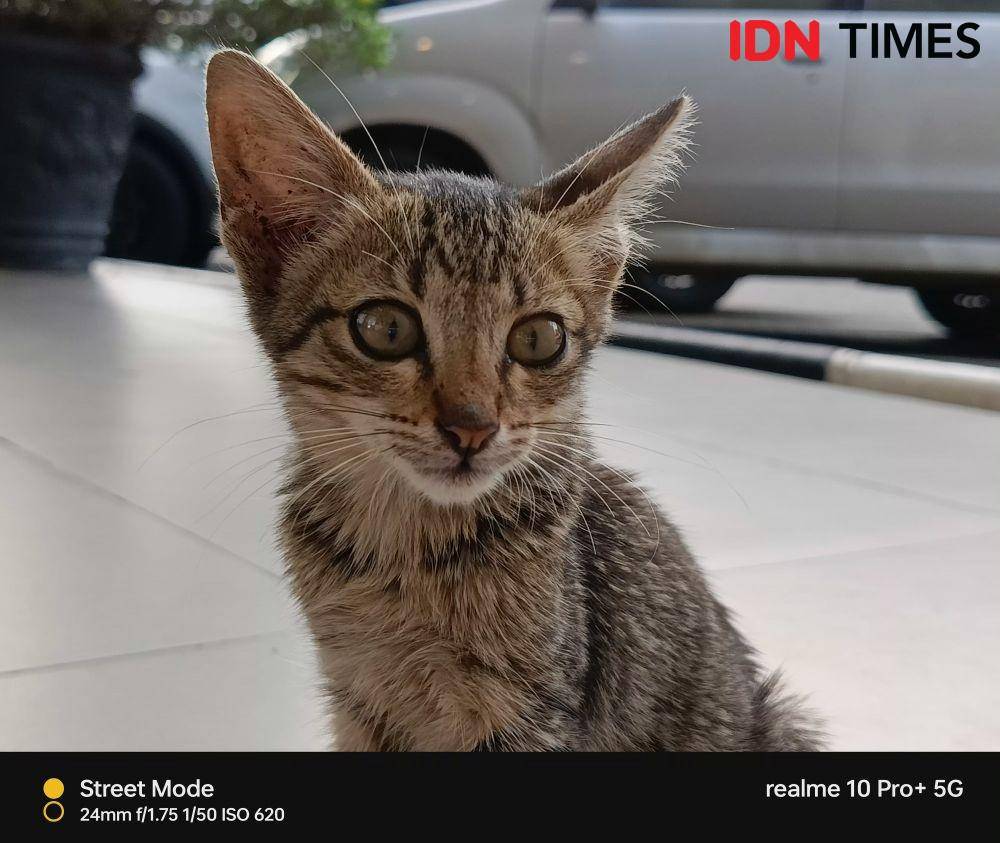 hasil tangkapan realme 10 Pro+ 5G (IDN Times/Alfonsus Adi Putra)