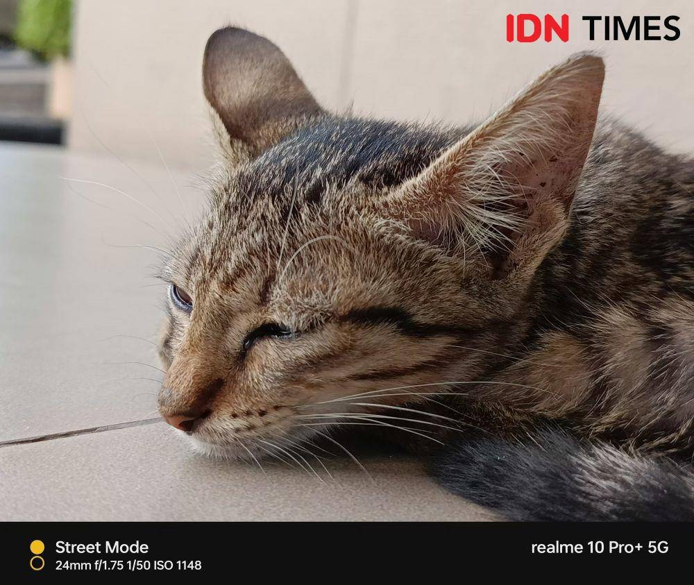 hasil tangkapan realme 10 Pro+ 5G (IDN Times/Alfonsus Adi Putra)